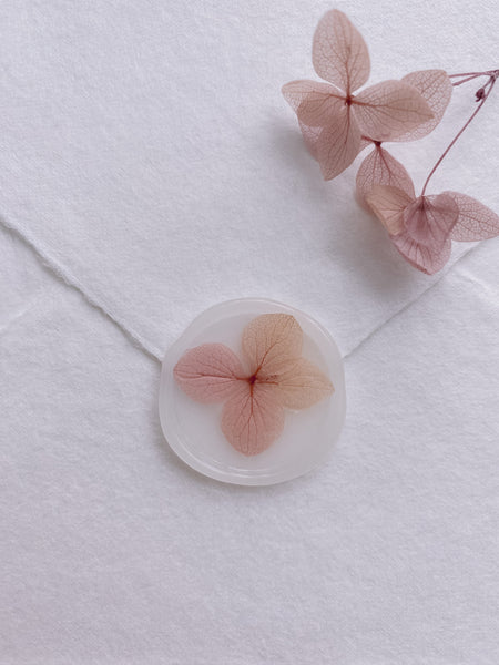 Blush ombre color dried hydrangea petal on clear color wax seal