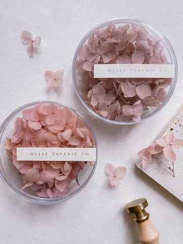 Dried hydrangeas in blush ombre and pale mauve in boxes